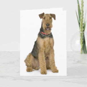 Carte Joyeux anniversaire Airedale Terrier Puppy Dog Car
