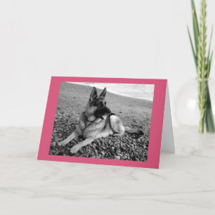 Carte Joyeux Anniversaire Allemand Berger Chien Chien Pu
