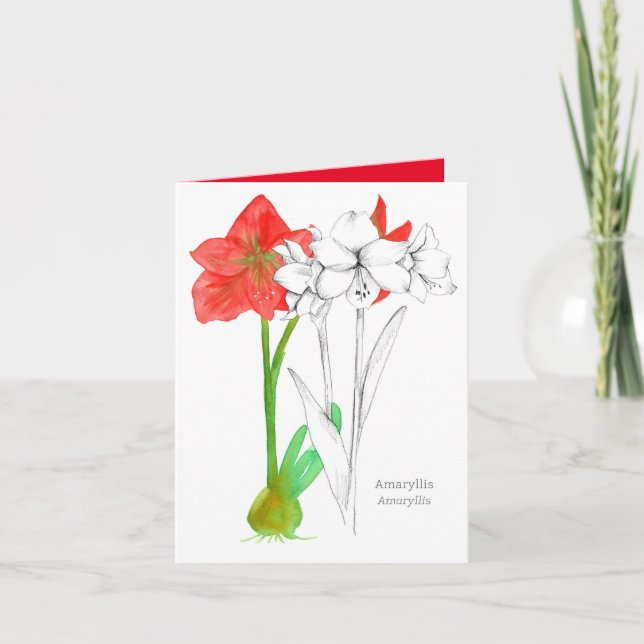 Carte Joyeux anniversaire Amaryllis Langue des Fleurs (Devant)