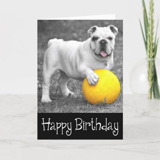 Carte Joyeux Anniversaire Anglais Bulldog Puppy Dog Zazzle Ca