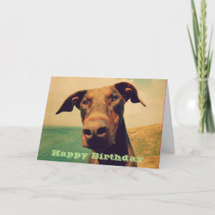 Carte Joyeux anniversaire avec un dobermann mignon