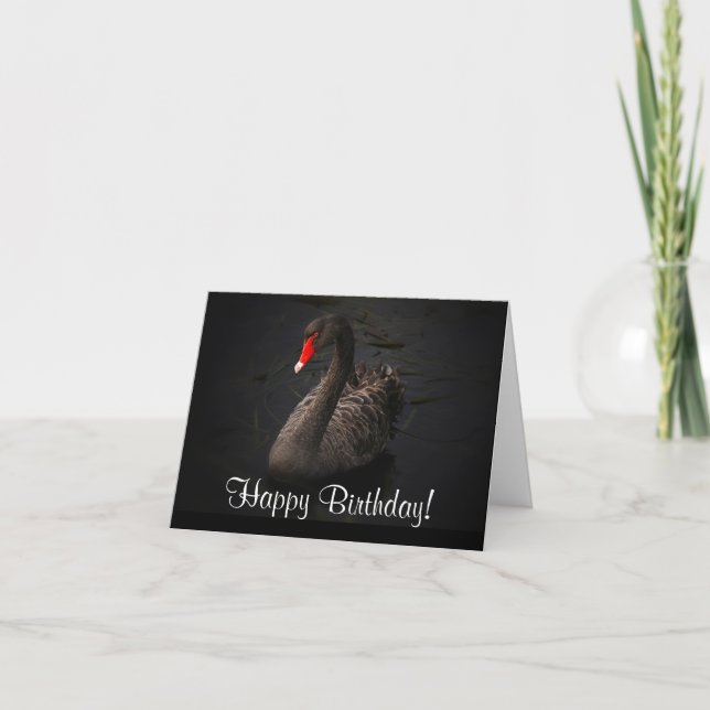 Carte Joyeux anniversaire Beau cygne noir (Devant)