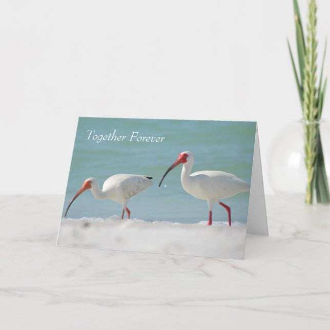 Carte Joyeux Anniversaire Bel Oiseau (Devant)