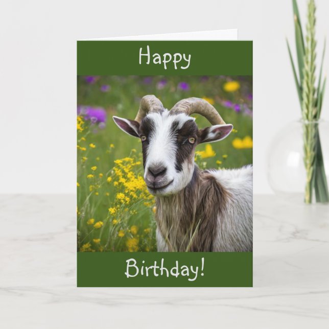 Carte Joyeux Anniversaire belle chèvre (Devant)