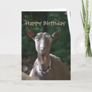 Carte Joyeux anniversaire belle vieille chèvre