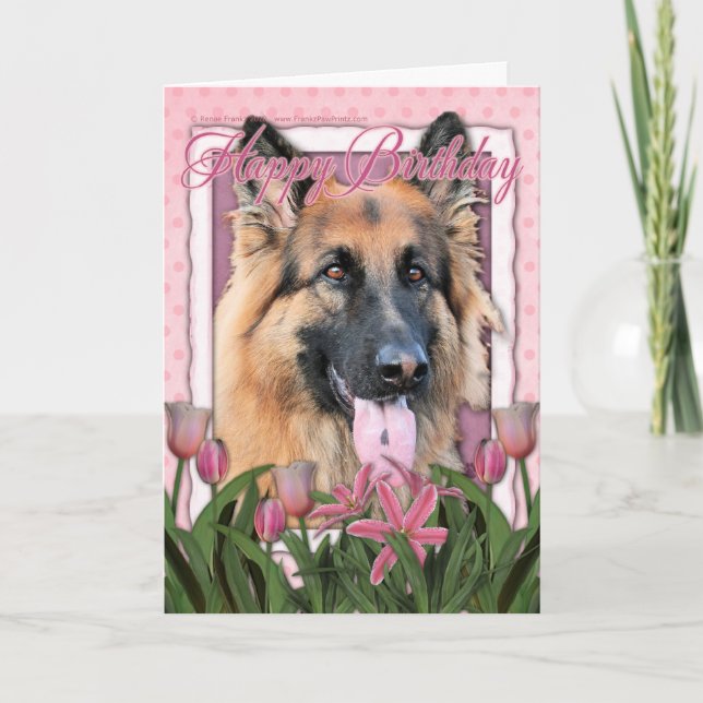 Carte Joyeux anniversaire - Berger allemand - Long Haire (Devant)