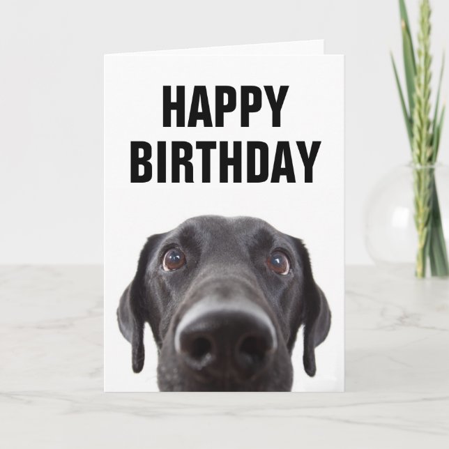Carte Joyeux anniversaire | Black Labrador (Devant)