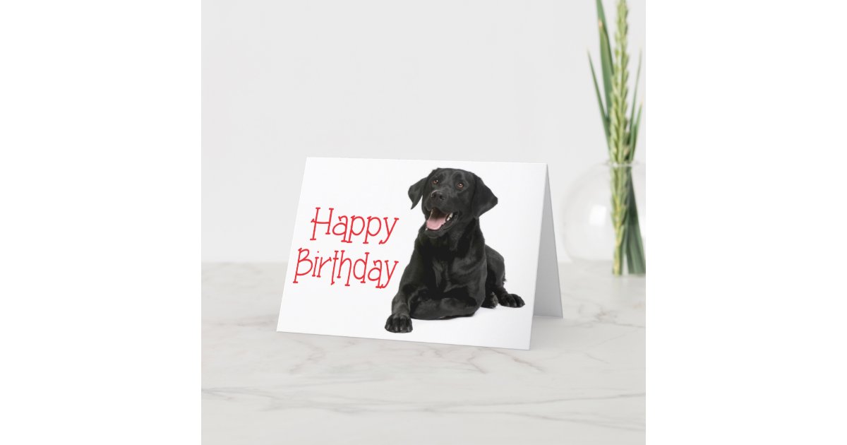 Carte Joyeux  anniversaire  Black Labrador  Puppy Dog Ver 