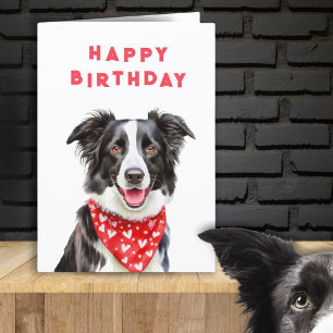 Carte Joyeux Anniversaire Border Collie Bandeau Rouge à
