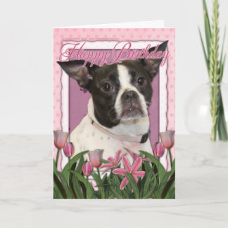 Carte Joyeux anniversaire - Boston et Rat terrier - Jazy