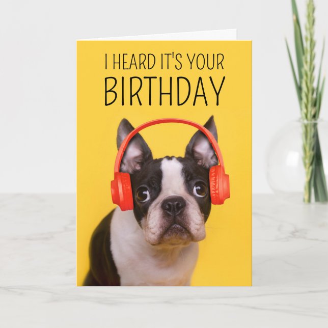 Carte Joyeux Anniversaire | Boston Terrier (Devant)