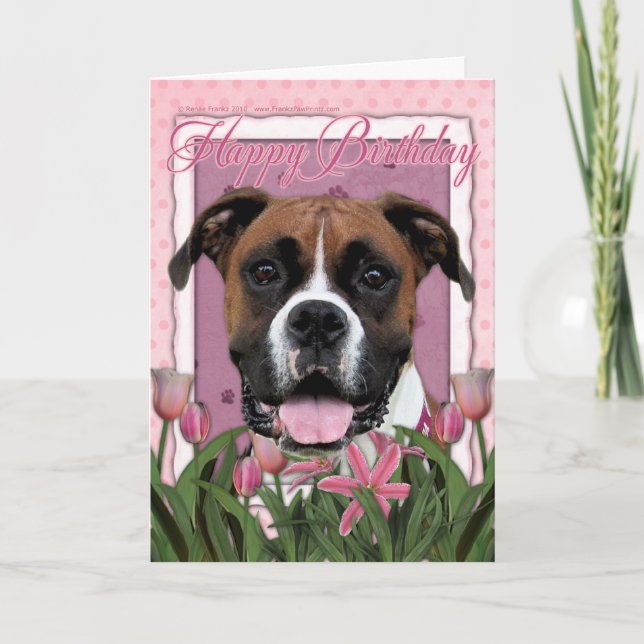 Carte Joyeux anniversaire - Boxer - Vindy (Devant)