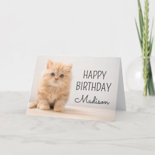 Carte Joyeux anniversaire   British Longhair Kitten