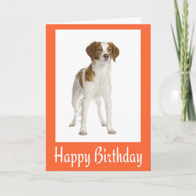 Carte Joyeux Anniversaire Brittany Spaniel Puppy Dog Car (Devant)