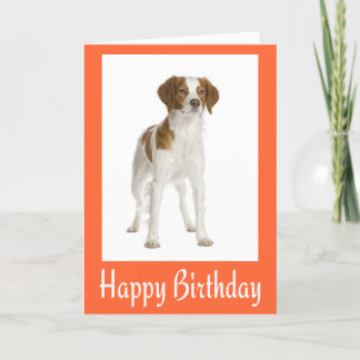 Carte Joyeux Anniversaire Brittany Spaniel Puppy Dog Car