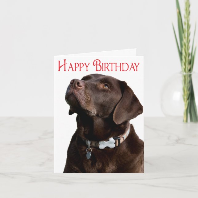 Carte Joyeux anniversaire Brown Labrador Retriever Puppy (Devant)