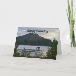 Carte Joyeux anniversaire, Bull Moose, Sprague Lake, Col