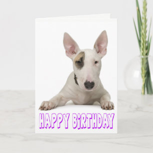 Carte Joyeux Anniversaire Bull Terrier Chien chiot