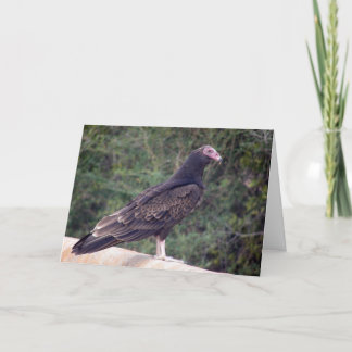 Carte Joyeux anniversaire - Buzzard
