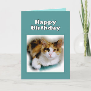 Carte Joyeux anniversaire Calico Cat