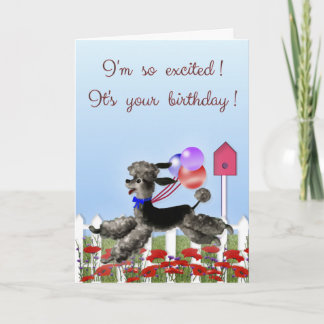 Carte Joyeux anniversaire, caniche noir Excited dans un