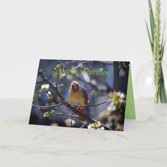 Carte Joyeux Anniversaire Cardinal Féminin dans l'arbre  (Devant)
