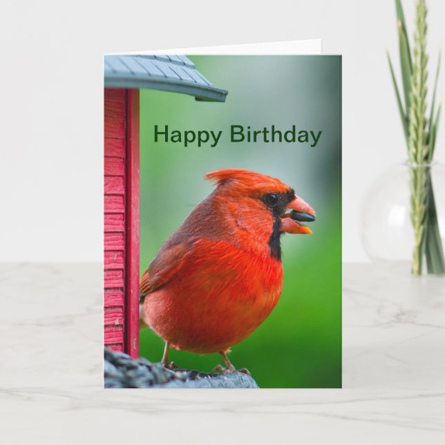 Carte Joyeux anniversaire - cardinal masculin (Devant)