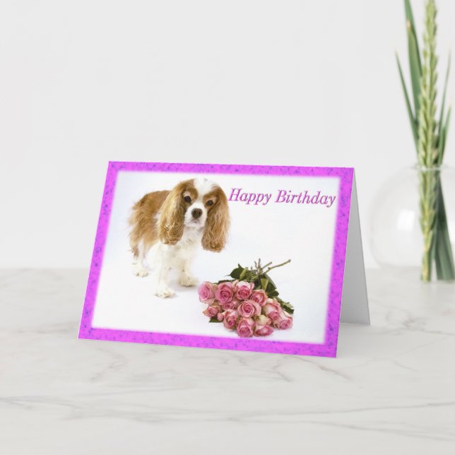 Carte Joyeux Anniversaire Cavalier King Charles Spaniel  (Devant)