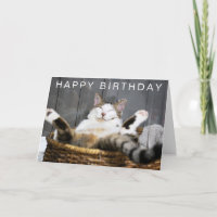 Joyeux Anniversaire | Chat au Lit