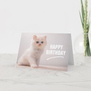 Carte Joyeux Anniversaire   Chat aux Yeux Bleus