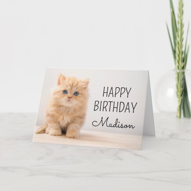 Carte Joyeux Anniversaire | Chat British Longhair (Devant)