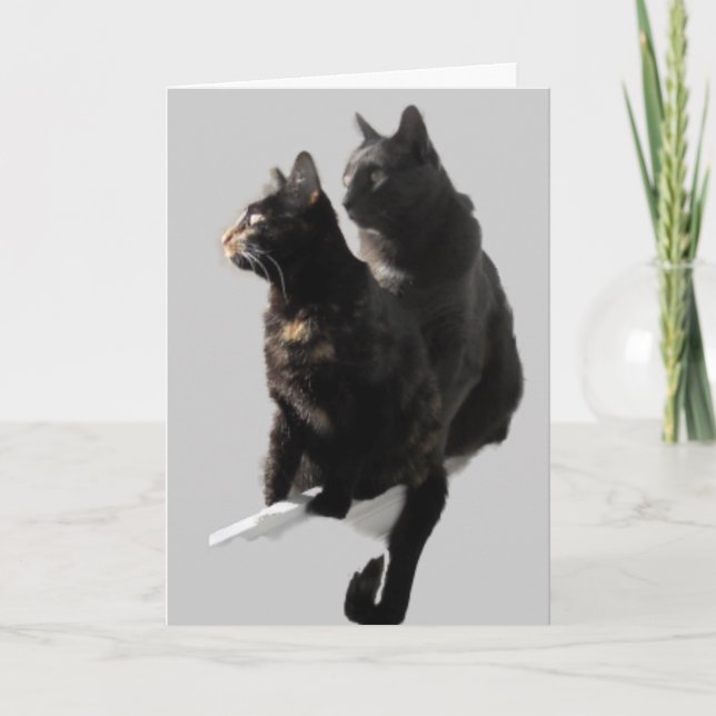 Carte Joyeux Anniversaire Chat Couple (Devant)