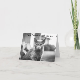 Carte Joyeux Anniversaire : Chat Gris