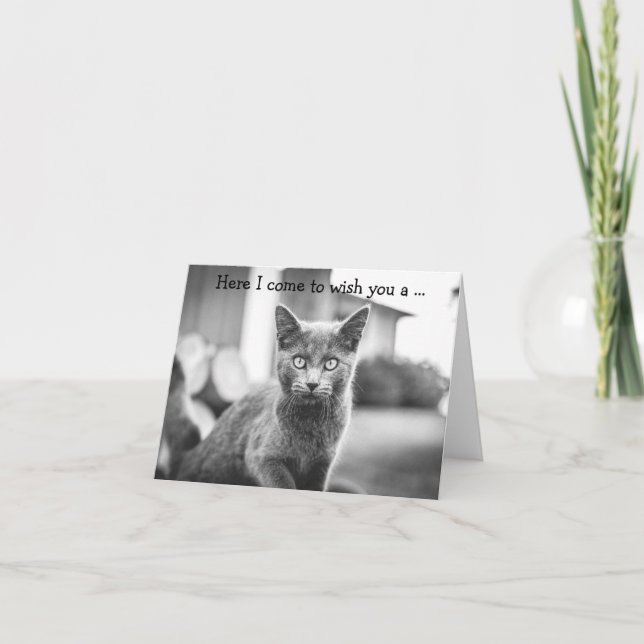 Carte Joyeux Anniversaire : Chat Gris (Devant)