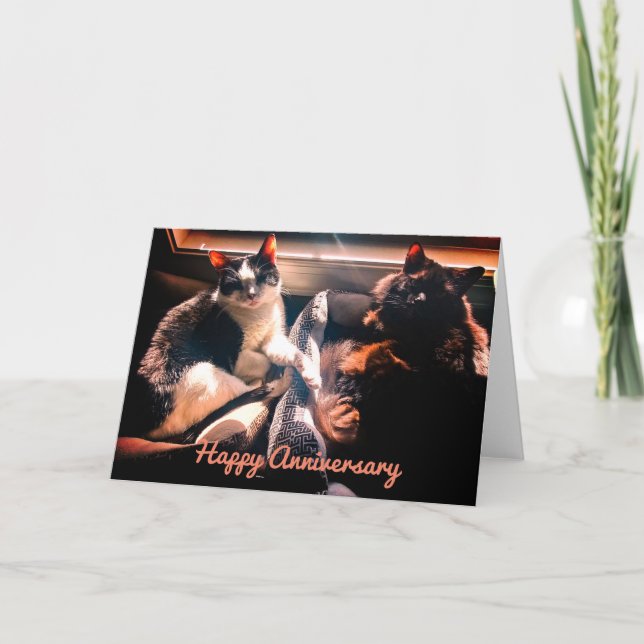 Carte Joyeux Anniversaire - Chats Mets Se Détendre Ensem (Devant)