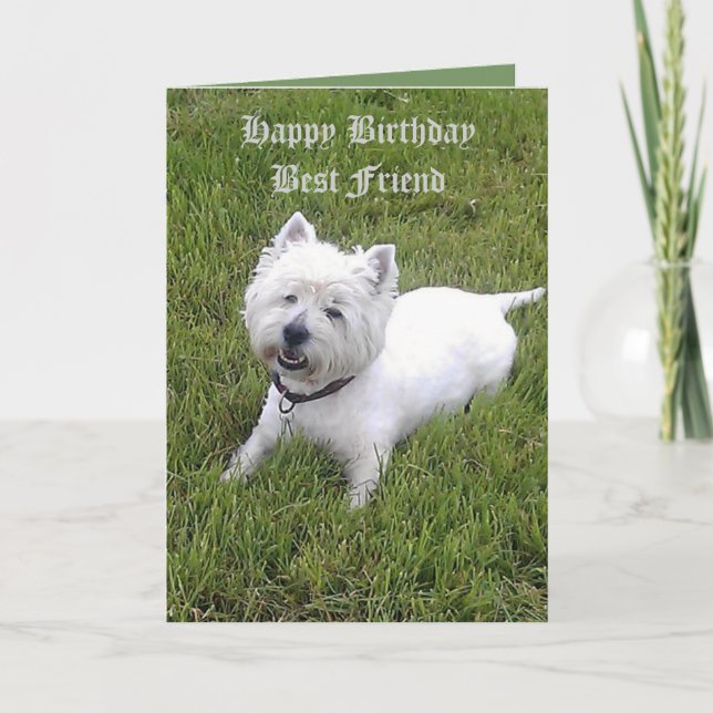 Carte Joyeux anniversaire Cher ami (Devant)