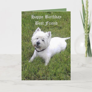 Carte Joyeux anniversaire Cher ami