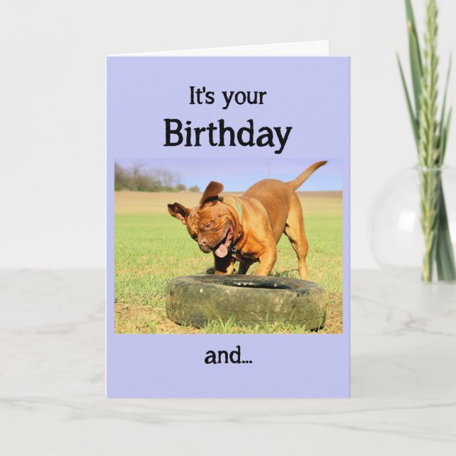 Carte Joyeux Anniversaire Chien Avoir du temps amusant (Devant)