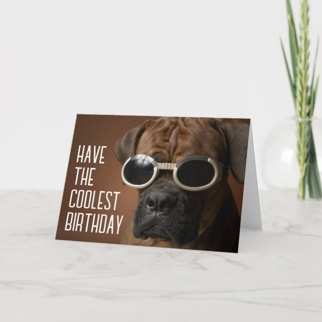 Carte Joyeux Anniversaire | Chien Lunettes de Soleil Coo (Devant)
