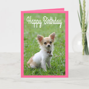 Carte Joyeux anniversaire Chihuahua Puppy Puppy