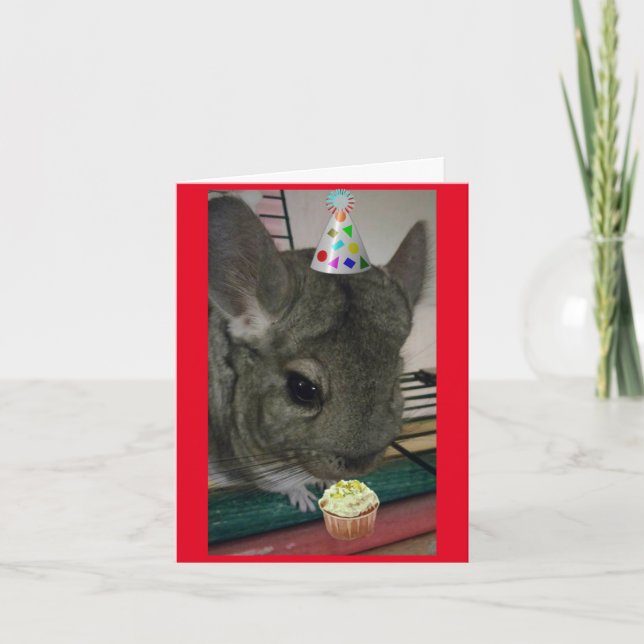 Carte Joyeux anniversaire Chinchilla (Devant)