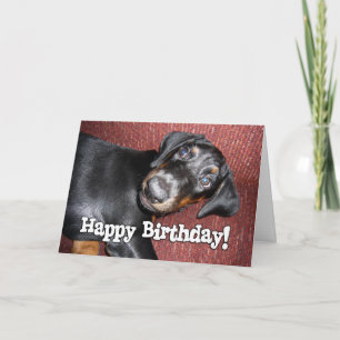 Carte Joyeux anniversaire - chiot de Pinscher de
