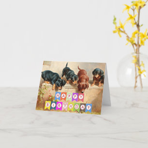 Carte Joyeux anniversaire, chiots de Dachshund,