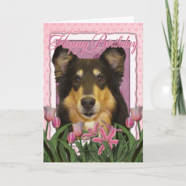 Carte Joyeux anniversaire - Collie - Caroline (Devant)