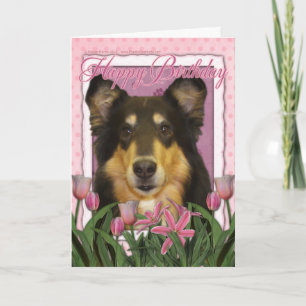 Carte Joyeux anniversaire - Collie - Caroline