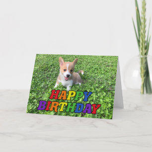 Carte Joyeux Anniversaire Cute Corgi Puppy Photo Rainbow