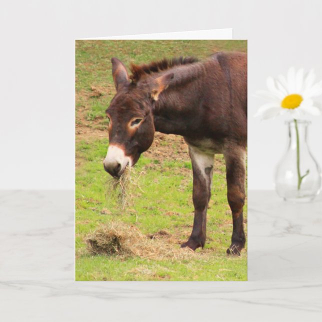 Carte Joyeux anniversaire d'âne (Petite plante)