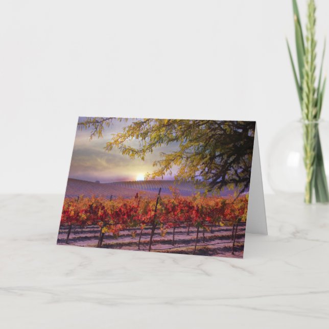 Carte Joyeux anniversaire de beau vignoble (Devant)