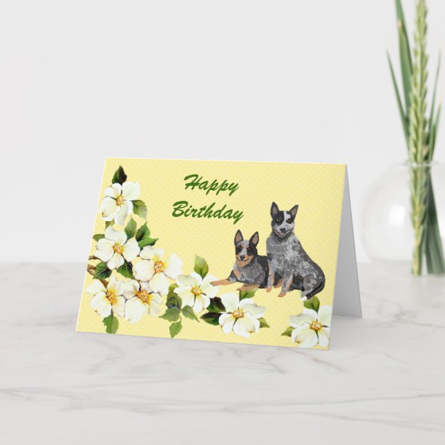 Carte Joyeux anniversaire de chien australien de bétail (Devant)