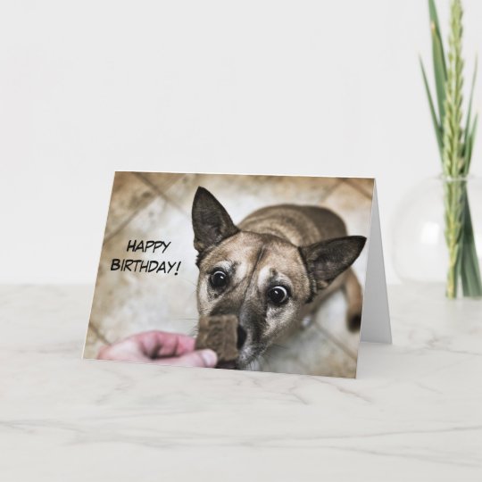 Carte Joyeux Anniversaire De Chien Mignon Zazzle Ca